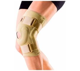 Коленный сустав